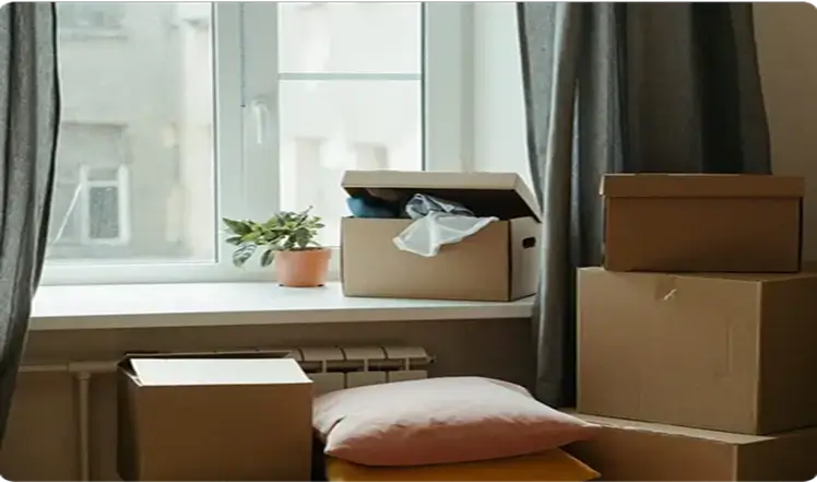 Choose the Right Moving Company Pack n move